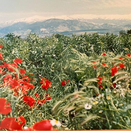 Churriana de la Vega Encantador Cortijo La Emiliana A 5 Minutos Del Centro מראה חיצוני תמונה