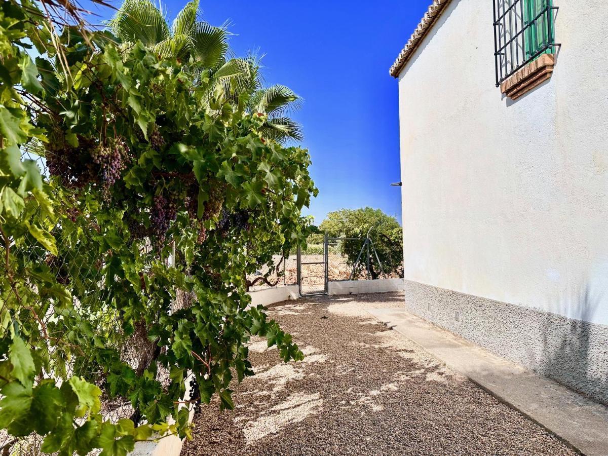 Churriana de la Vega Encantador Cortijo La Emiliana A 5 Minutos Del Centro מראה חיצוני תמונה